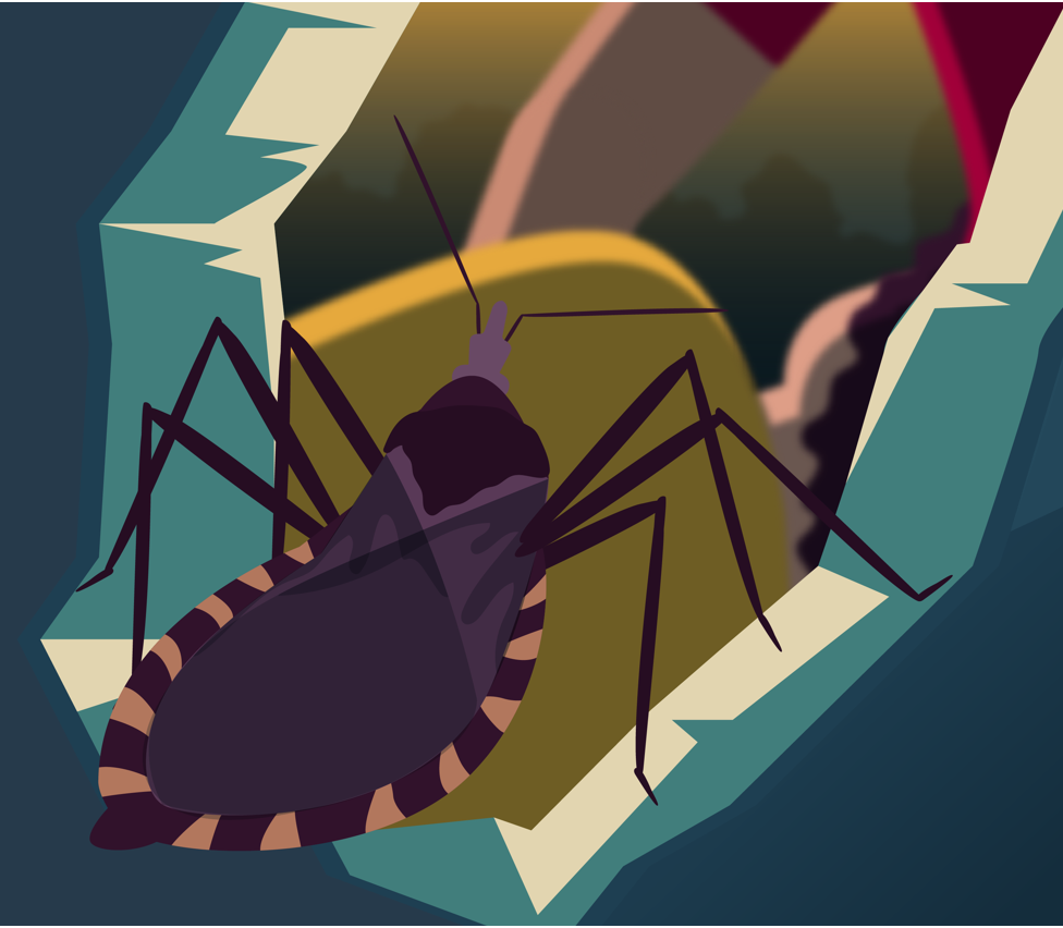 Kissing Bug hiding in crevice